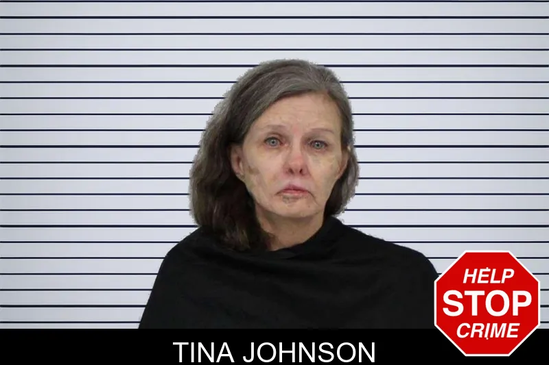 Tina Johnson mugshot