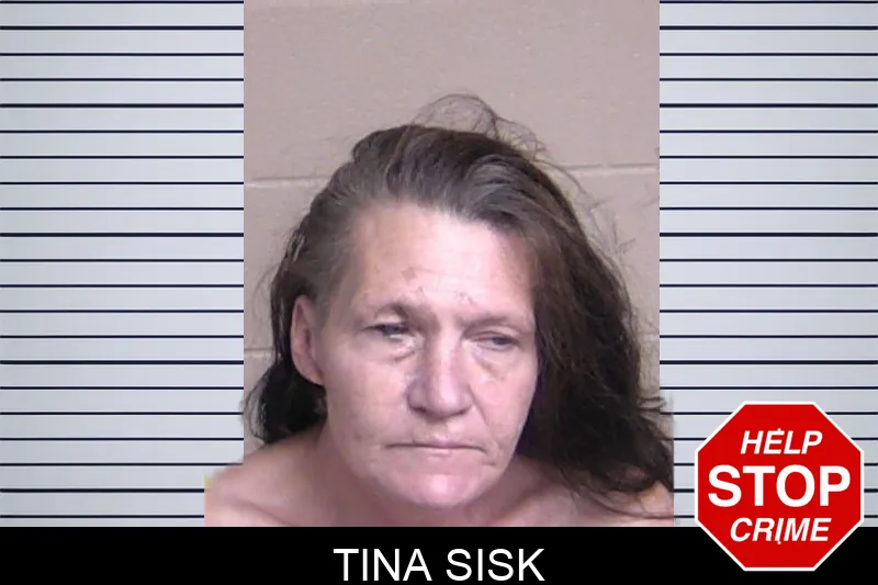 Tina Sisk mugshot