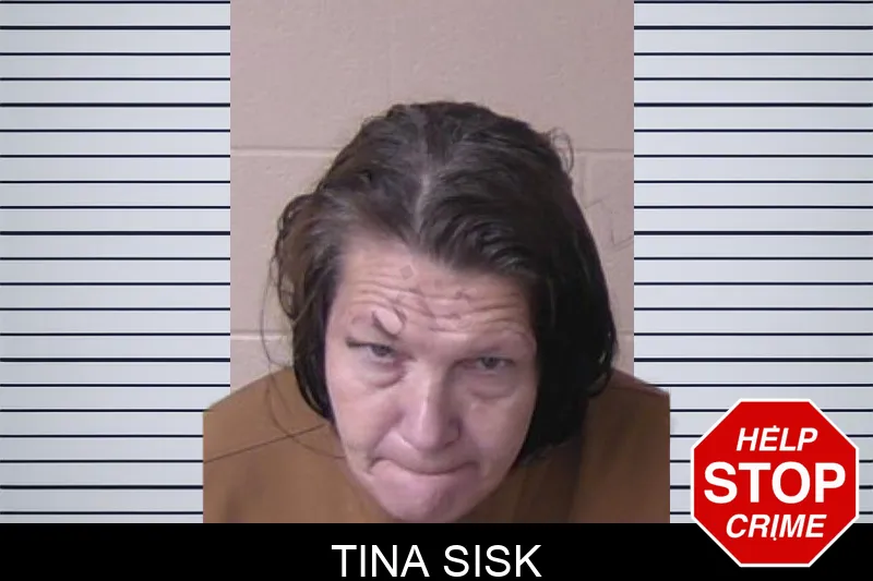 Tina Sisk mugshot