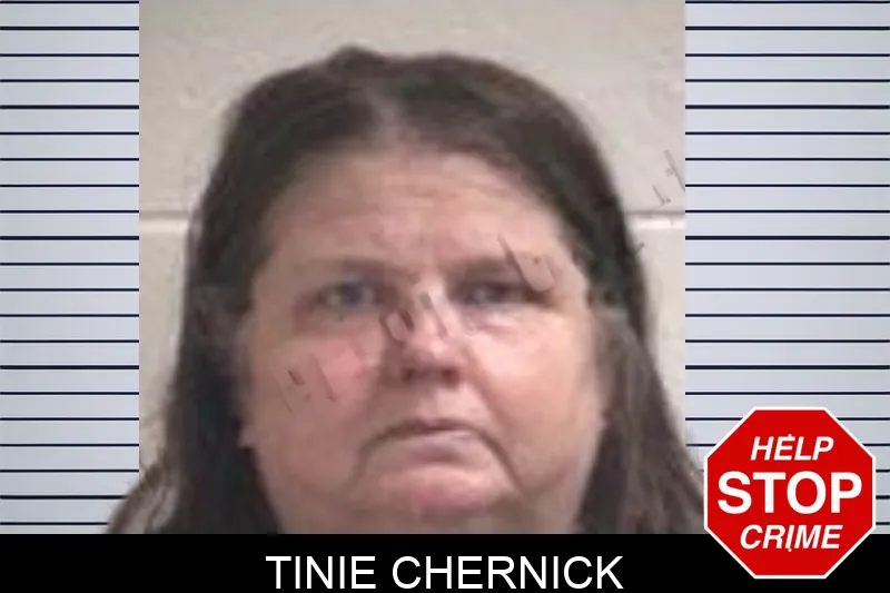 Tinie Chernick mugshot