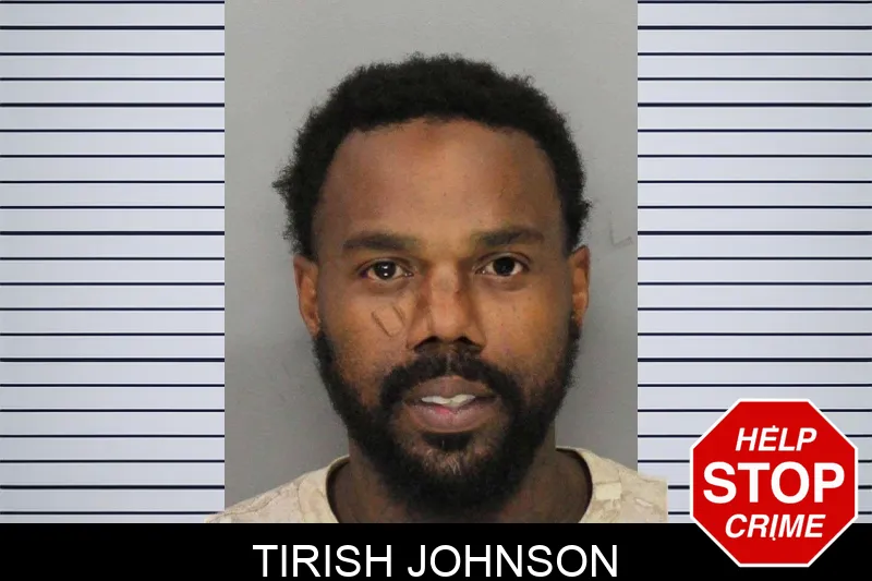 Tirish Johnson mugshot