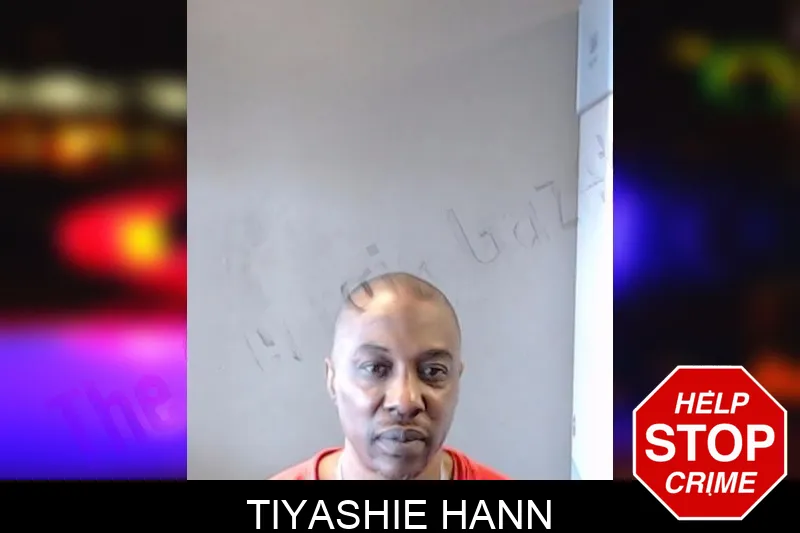 Tiyashie Hann mugshot – DeKalb County , Georgia Tiyashie Hann mugshot