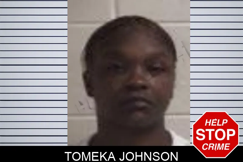 Tomeka Johnson mugshot