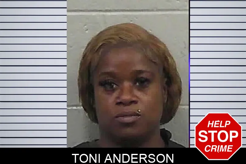 Toni Anderson mugshot – Butts County , Georgia Toni Anderson mugshot