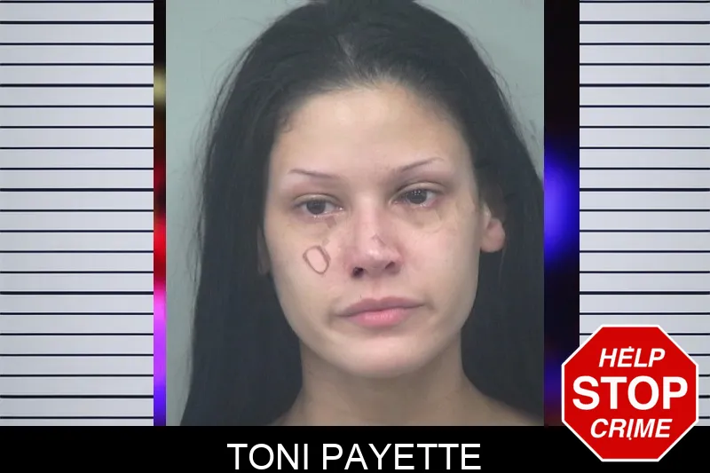 Toni Payette mugshot – Gwinnett County , Georgia Toni Payette mugshot