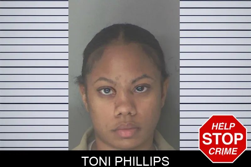 Toni Phillips mugshot – Douglas County , Georgia Toni Phillips mugshot