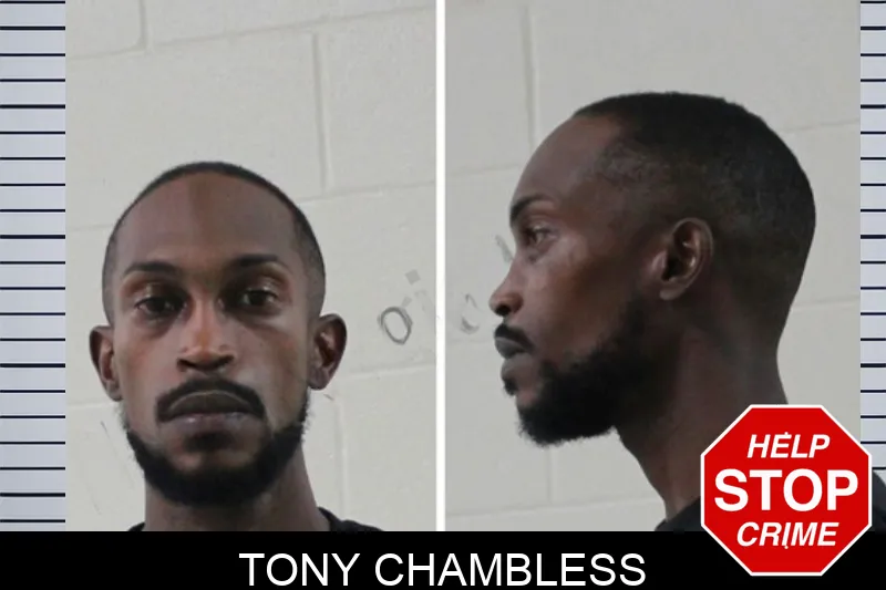 Tony Chambless mugshot – Houston County , Georgia Tony Chambless mugshot