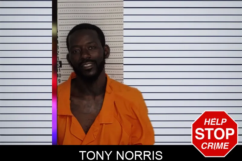 Tony Norris mugshot