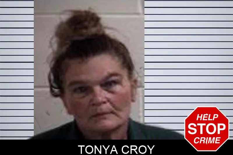 Tonya Croy mugshot – Henry County , Georgia Tonya Croy mugshot