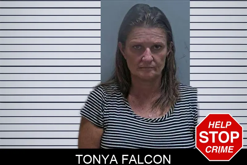 Tonya Falcon mugshot