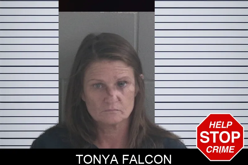 Tonya Falcon mugshot