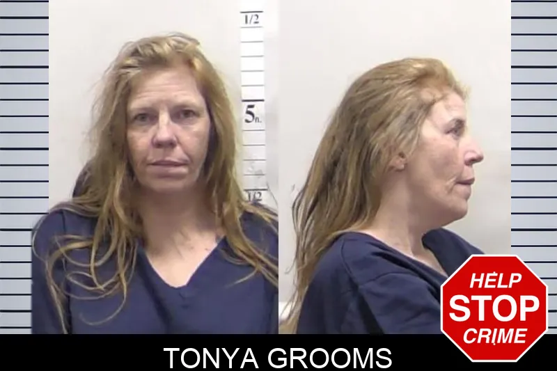 Tonya Grooms mugshot