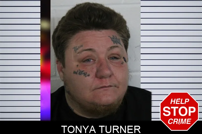 Tonya Turner mugshot – Floyd County , Georgia Tonya Turner mugshot
