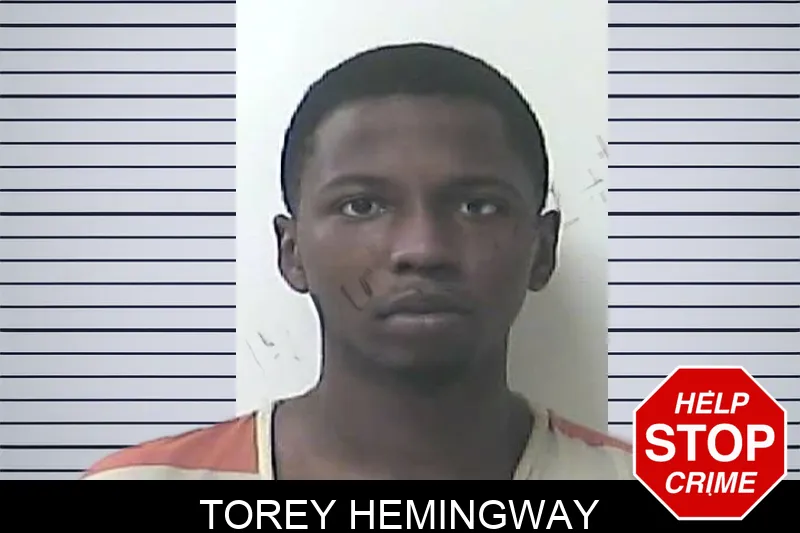 Torey Hemingway mugshot