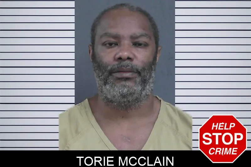 Torie McClain mugshot