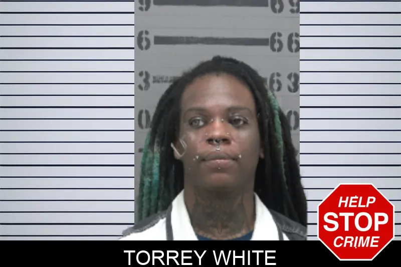 Torrey White mugshot