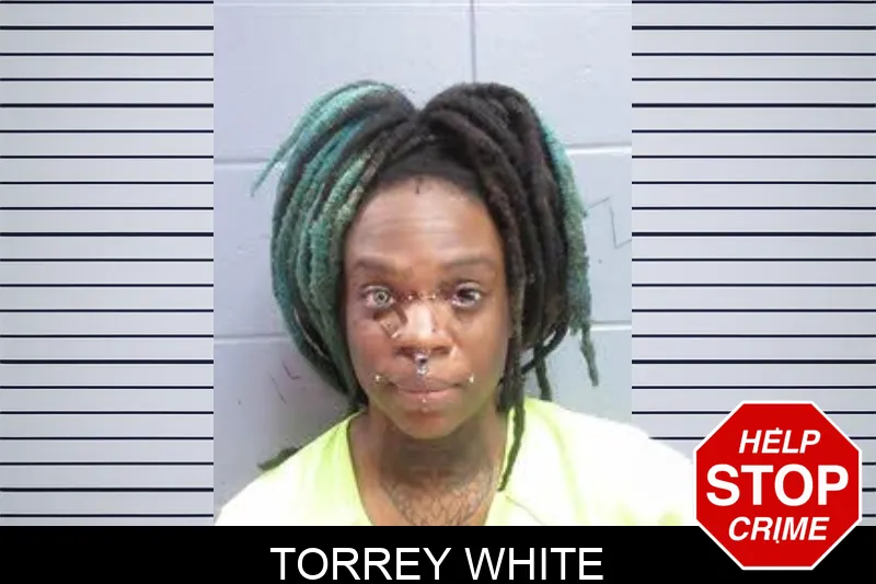 Torrey White mugshot – Lee County , Georgia Torrey White mugshot