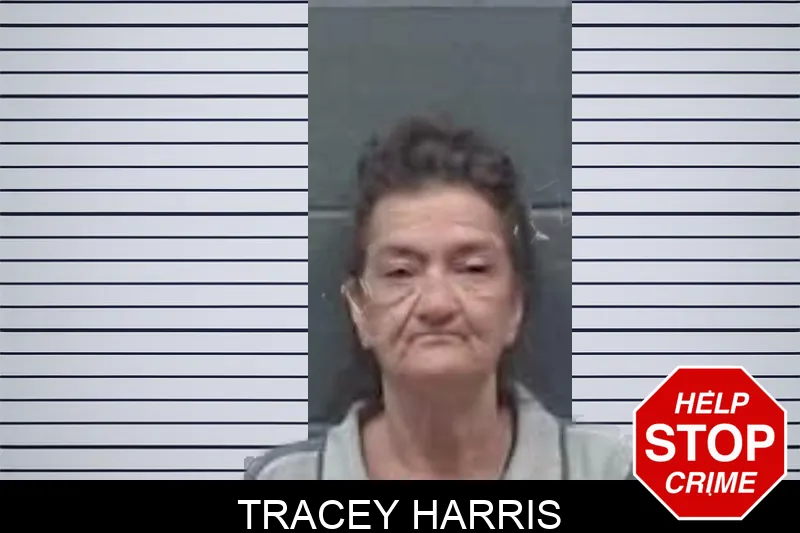 Tracey Harris mugshot