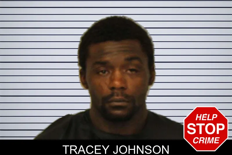 Tracey Johnson mugshot