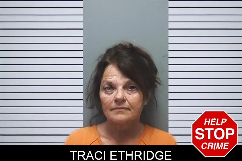 Traci Ethridge mugshot