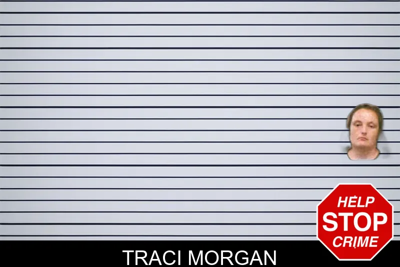 Traci Morgan mugshot