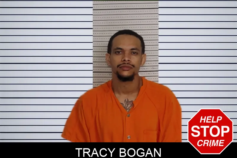 Tracy Bogan mugshot