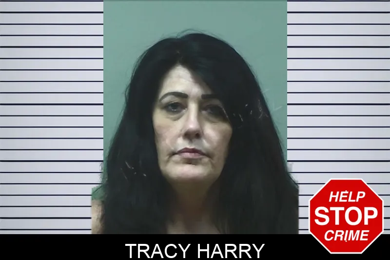 Tracy Harry mugshot – Bleckley County , Georgia Tracy Harry mugshot
