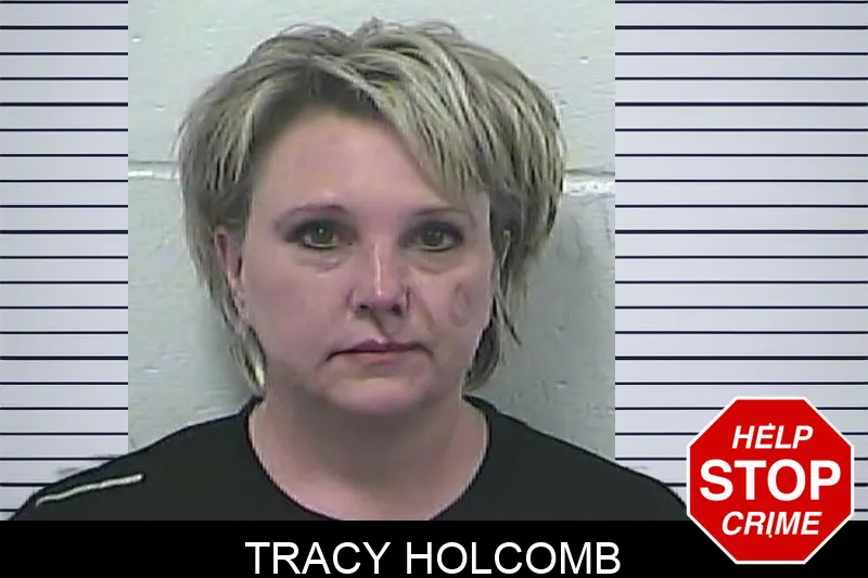 Tracy Holcomb mugshot