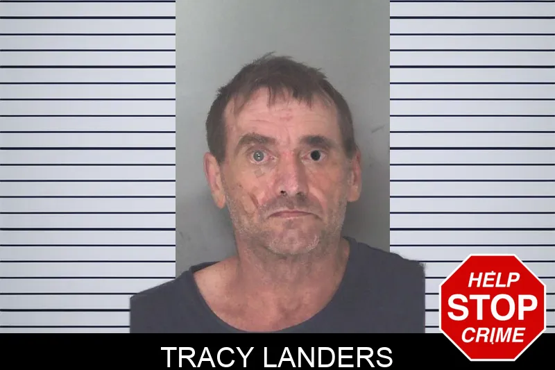 Tracy Landers mugshot