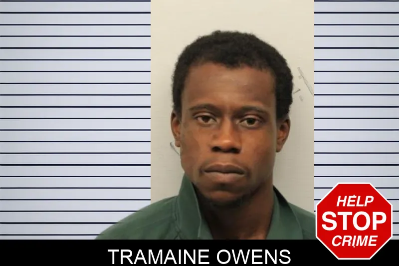 Tramaine Owens mugshot – Chatham County , Georgia Tramaine Owens mugshot