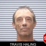 Travis Haling mugshot