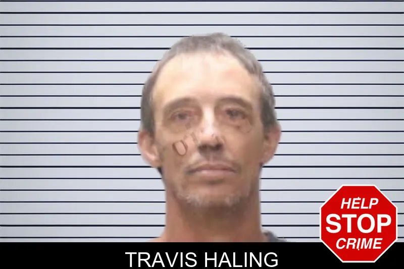 Travis Haling mugshot