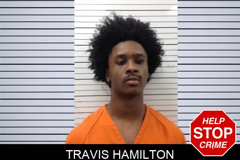 Travis Hamilton mugshot – Pickens County , Georgia Travis Hamilton mugshot