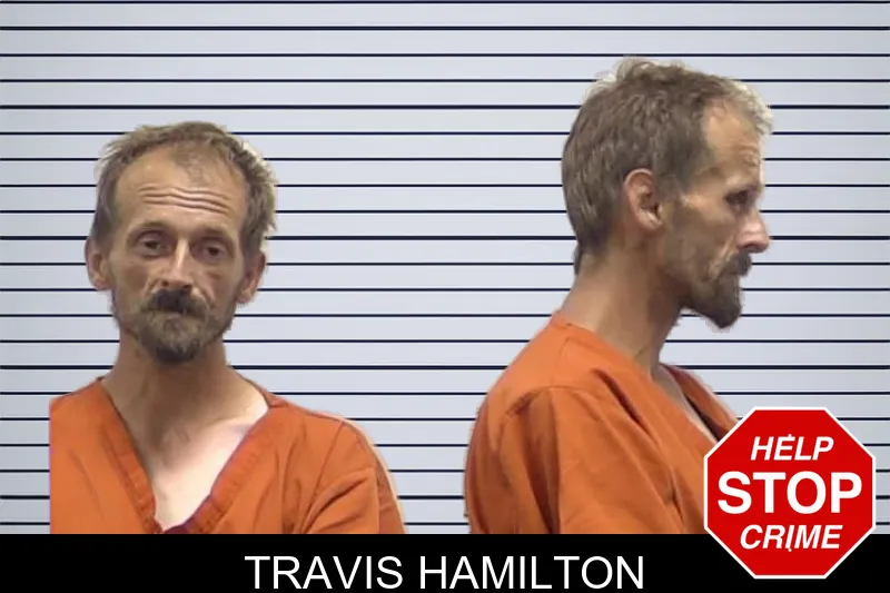 Travis Hamilton mugshot