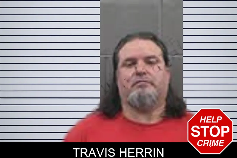 Travis Herrin mugshot – Banks County , Georgia Travis Herrin mugshot