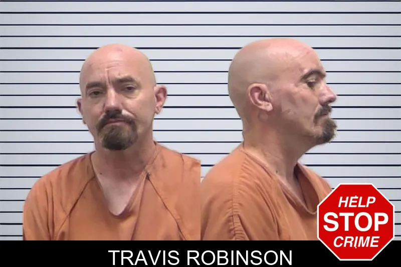 Travis Robinson mugshot