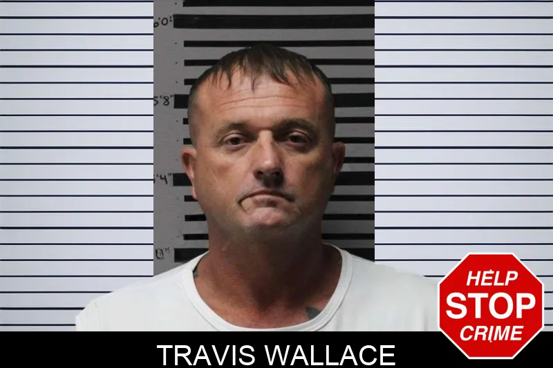 Travis Wallace mugshot