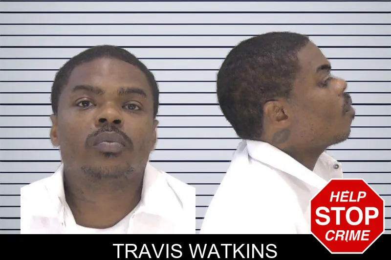 Travis Watkins mugshot