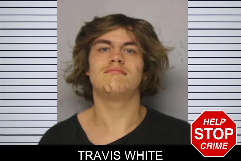 Travis White mugshot