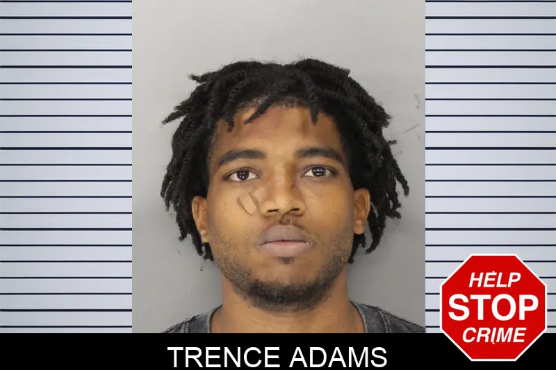 Trence Adams mugshot – Cobb County , Georgia Trence Adams mugshot