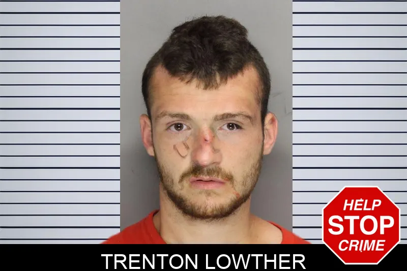 Trenton Lowther mugshot