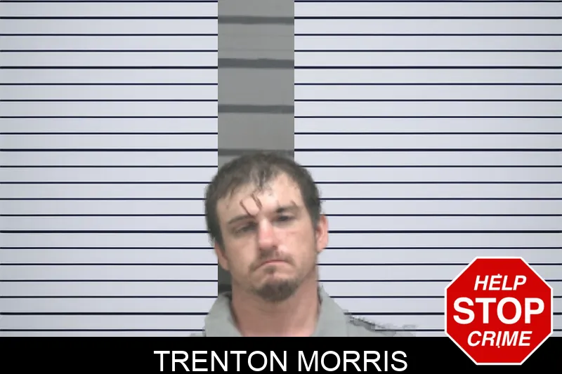 Trenton Morris mugshot