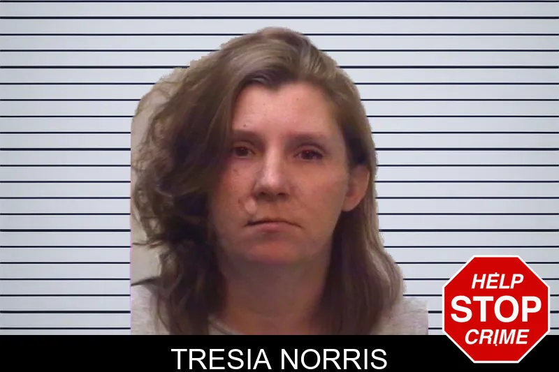 Tresia Norris mugshot