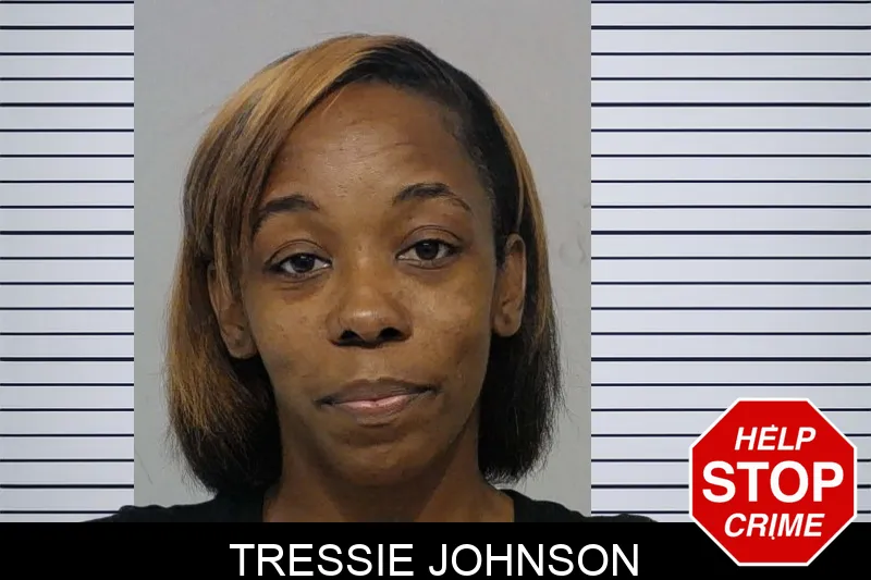 Tressie Johnson mugshot – Bibb County , Georgia Tressie Johnson mugshot