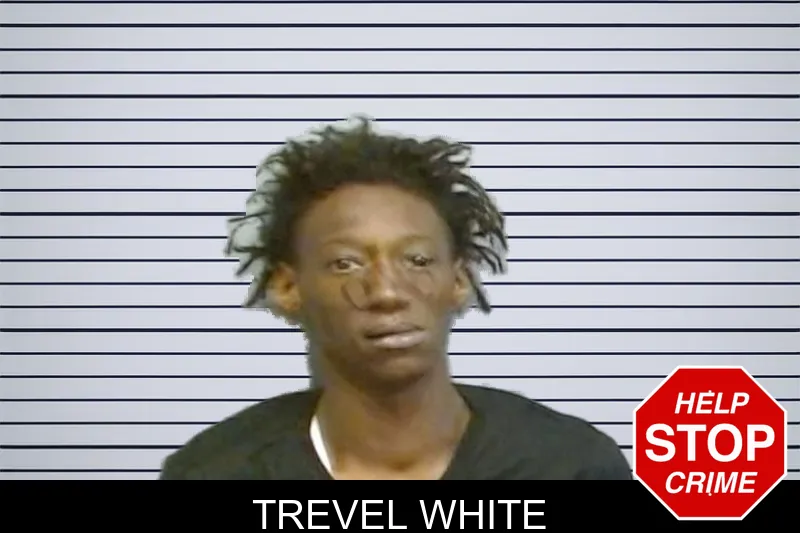 Trevel White mugshot