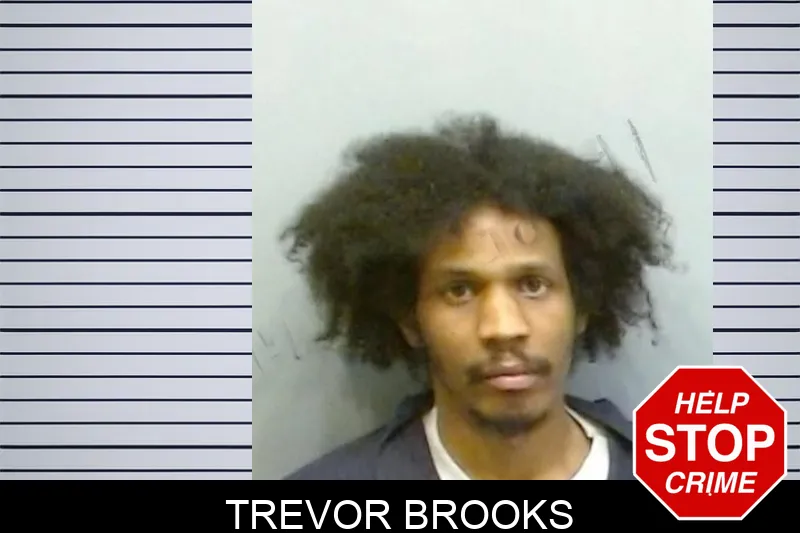 Trevor Brooks mugshot