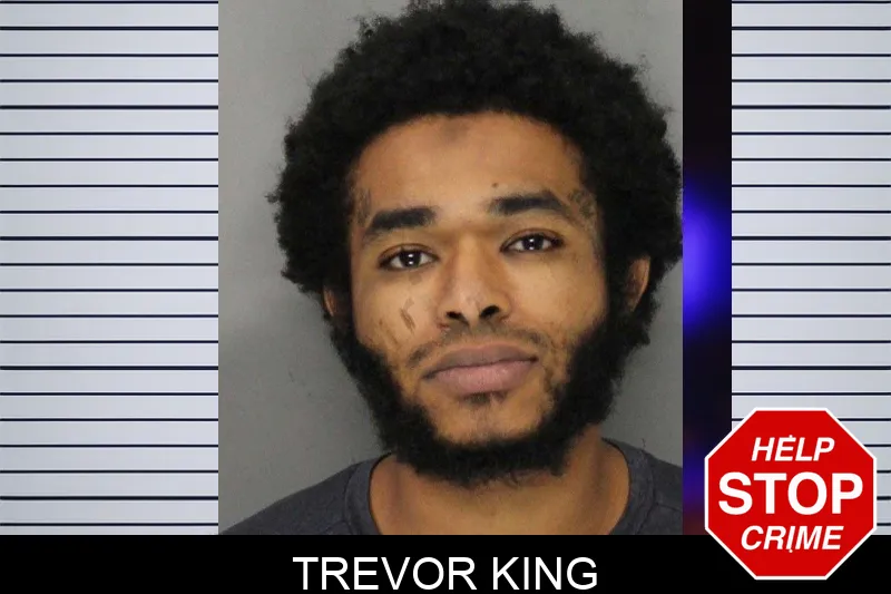 Trevor King mugshot
