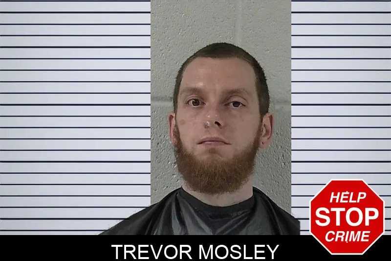 Trevor Mosley mugshot