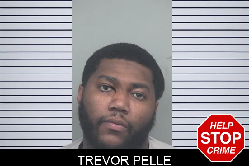 Trevor Pelle mugshot – Gwinnett County , Georgia Trevor Pelle mugshot