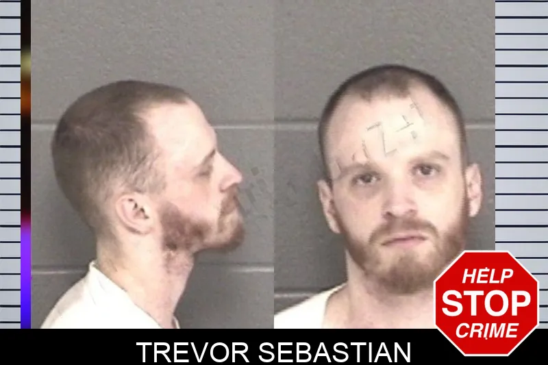 Trevor Sebastian mugshot